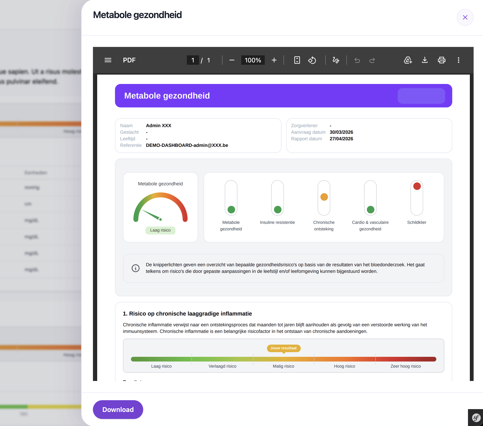 Preview van het gegenereerde PDF-rapport